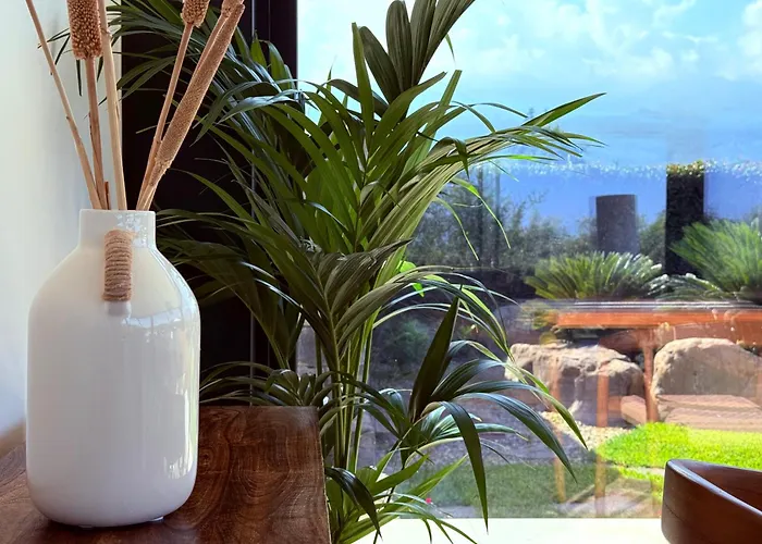 Lychee جاري